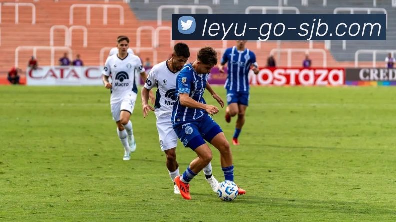 乐鱼体育移动端，乐鱼体育移动端，乐鱼体育官网，乐鱼体育APP，乐鱼随时投注平台生态图